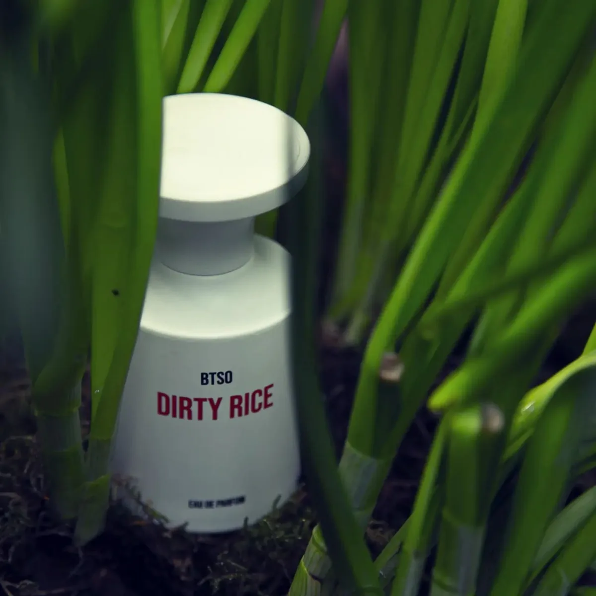 Borntostandout Dirty Rice Eau de Parfum 50ml