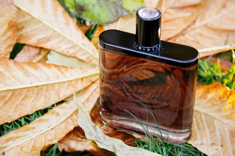 Olfactive Studio-chambre Noire Eau de Parfum Eau de Parfum 100ml
