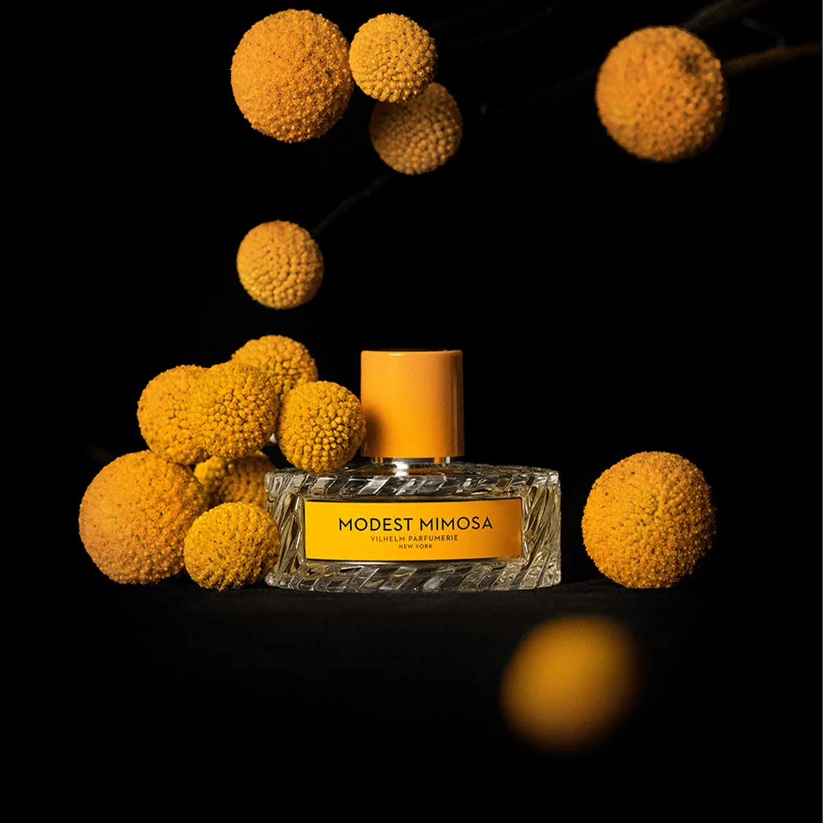 Vilhelm Parfumerie Modest Mimosa Eau de Parfum 100ml